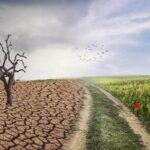 Zu sehen ist Bild 1 zum Beitrag mit dem Thema: Der Klimawandel und seine Folgen