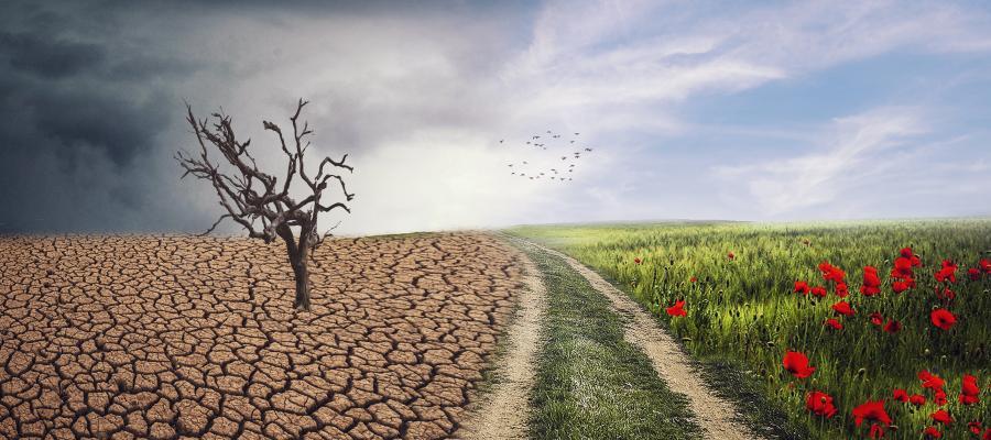 Zu sehen ist Bild 1 zum Beitrag mit dem Thema: Der Klimawandel und seine Folgen