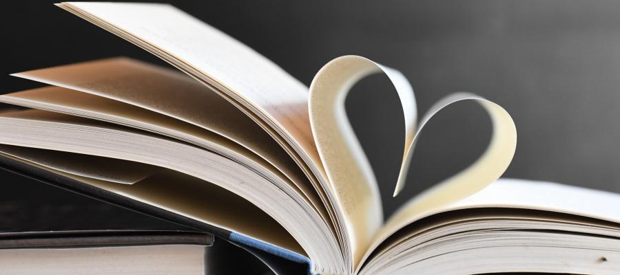 Zu sehen ist Bild 1 zum Beitrag mit dem Thema: Unsere Buchempfehlungen zum Thema Klima/Klimaschutz