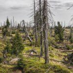 Zu sehen ist Bild 1 zum Beitrag mit dem Thema: Rezenter Klimawandel und seine Auswirkungen verstehen