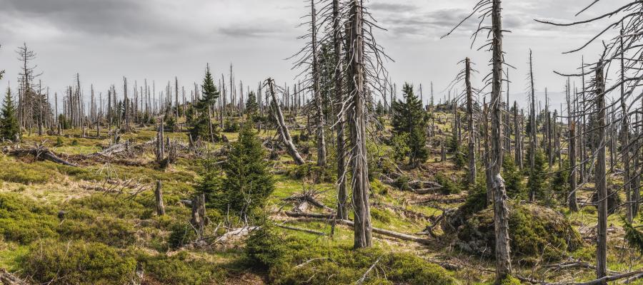 Zu sehen ist Bild 1 zum Beitrag mit dem Thema: Rezenter Klimawandel und seine Auswirkungen verstehen