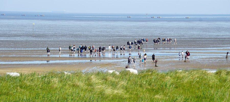 Zu sehen ist Bild 1 zum Beitrag mit dem Thema: Temperaturrekord 2024 in der Nordsee